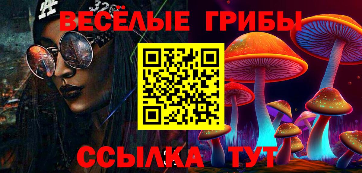 Галлюциногенные грибы Psilocybine cubensis Батайск
